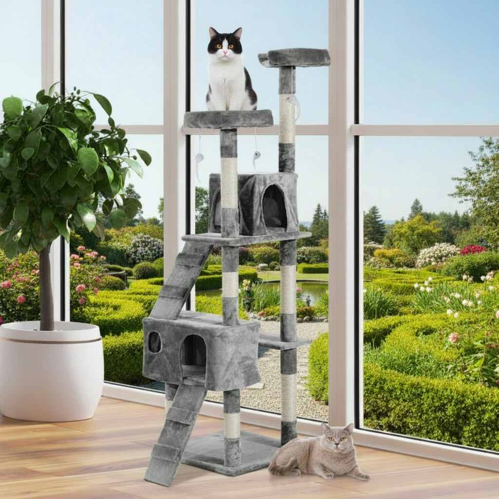 Katzenparadies Kratzbaum Erlebniswelt
