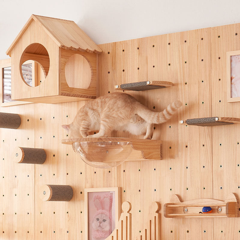 Wand-Katzenparadies für Zuhause