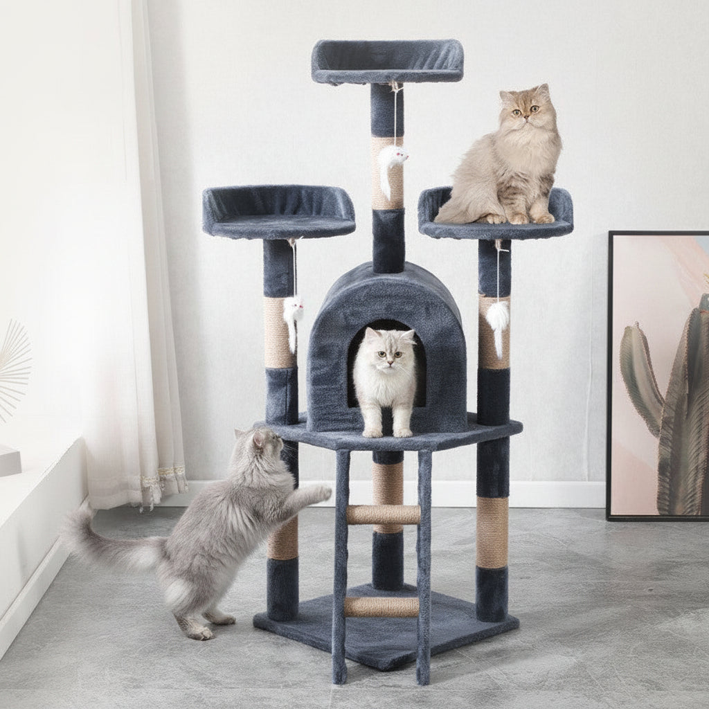 Katzenparadies mit Kletterspass