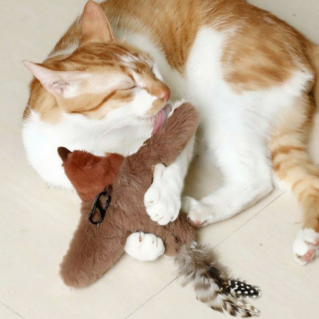 Fliegender Vogel Katzenspielzeug