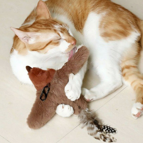 Fliegender Vogel Katzenspielzeug