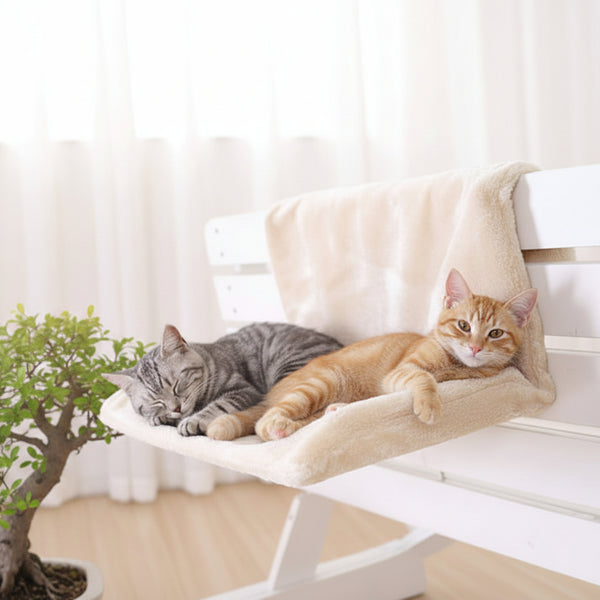 H3e0295205cb340d3a8bcd18c1238b2b85_61f1c68d-f6ff-4cfd-b441-df8803880fcc.jpg