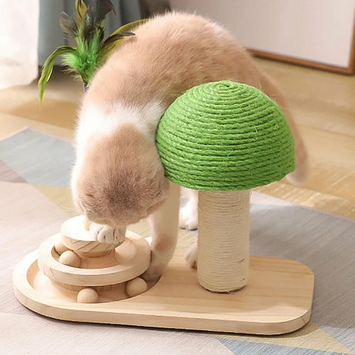 Katzenspielbaum mit Spielzeug