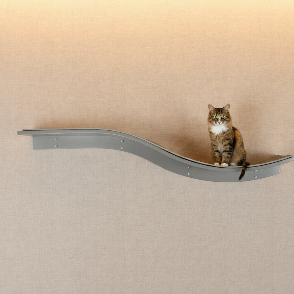 Elegante Katzenwand für Zuhause