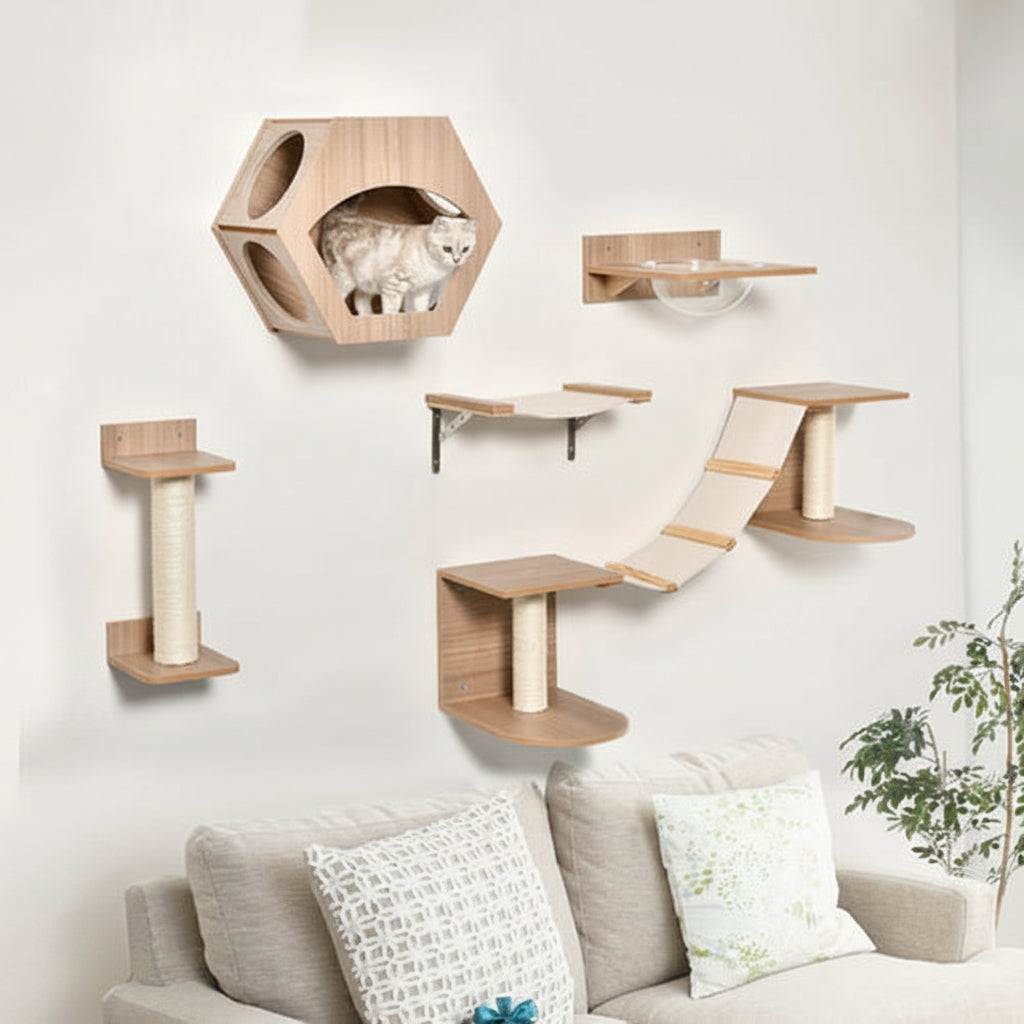 Katzenparadies Kletterset