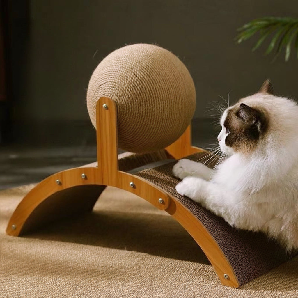 Abenteuer-Katzenkratzbaum mit Spass