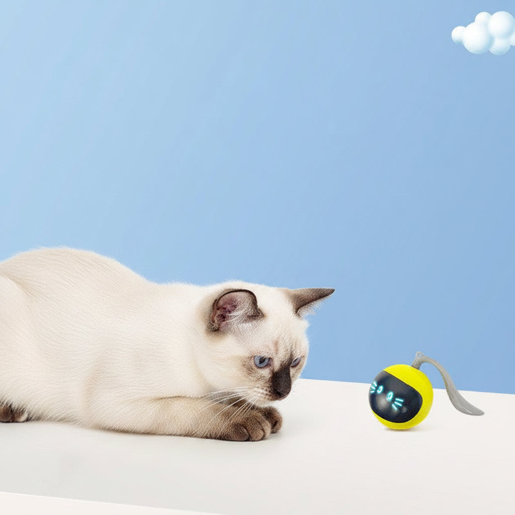 Verspielter Katzenball mit Licht