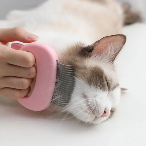 Sanfte Massagebürste für Katzen