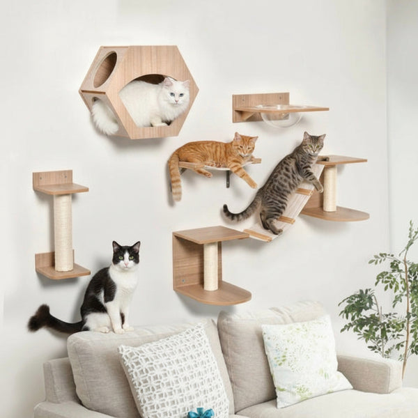 Katzenparadies Kletterset